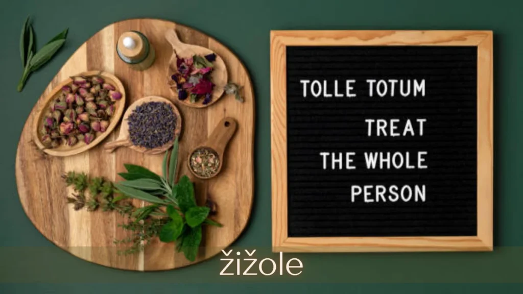 Zižole