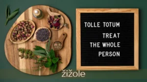 Zižole